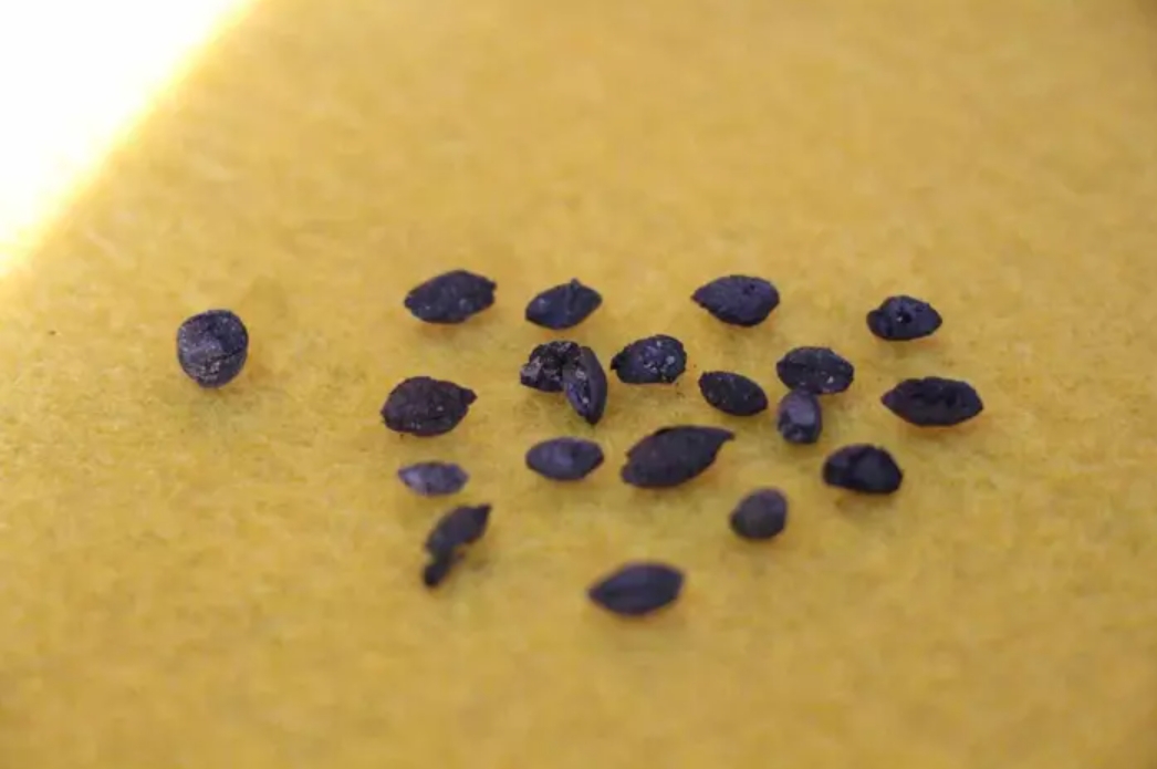 Археологи в Турции нашли горшок с 2500-летним блюдом древних персов (фото)